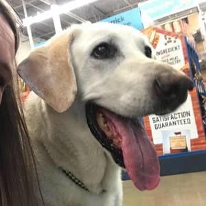 Meet your Posher, Janice